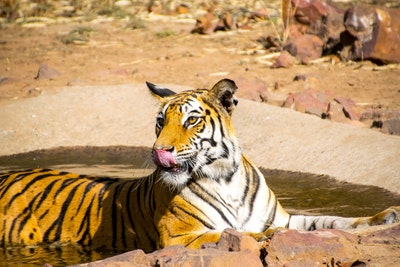 El tiempo en Bandhavgarh National El tiempo en Bandhavgarh National