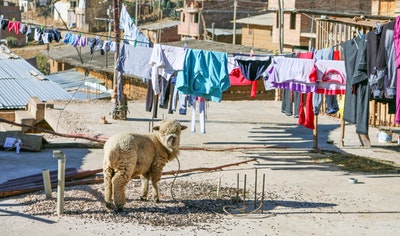 El tiempo en Cajamarca El tiempo en Cajamarca
