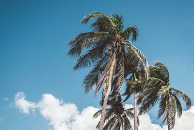 El tiempo en Cayo Coco El tiempo en Cayo Coco